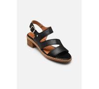 Pikolinos BLANES W3H-1635 42 Negro
