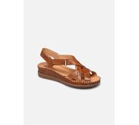 Pikolinos Cadaques W8K-0741 37 Marrón