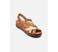 Pikolinos Cadaques Sandalias Cuña Mujer | en Cuero | Cierre Adherente | Talla EU 35-42 en Color Marrón