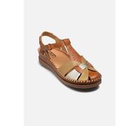 Pikolinos CADAQUES W8K-0847C1 38 Marrón