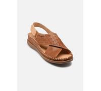 Pikolinos CADAQUES W8K-0848 36 Marrón