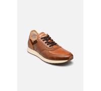 Pikolinos CAMBIL M5N-6201C1 43 Marrón