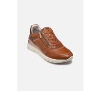 Pikolinos CANTABRIA W4R 36 Marrón