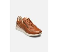 Pikolinos CANTABRIA W4R-6994 41 Marrón