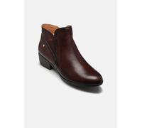 Pikolinos DAROCA W1U-8726 38 Marrón
