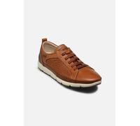 Zapatillas Pikolinos Fuencarral 40