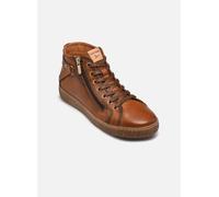 Pikolinos LANZAROTE W7B 39 Marrón