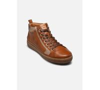 Pikolinos LANZAROTE W7B 42 Marrón