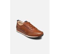 Pikolinos LIVERPOOL M2A-6252 45 Marrón