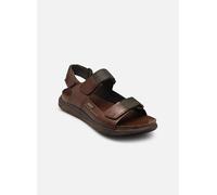 Pikolinos Sandalias para hombre Nijar M0B-0122 planas en cuero Olmo 45