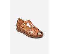 Pikolinos Sandales CADAQUES W8K-1569C4 36 Marrón