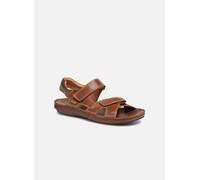 SANDALIAS PIKOLINOS TARIFA 06J-5818 MARRON 45