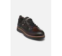 Pikolinos Vigo M3M-4163C1 45 Marrón