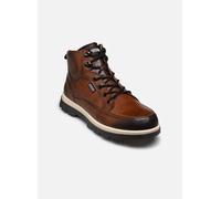 Botines Pikolinos Vigo 40