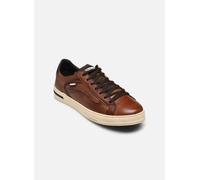 Zapatillas Pikolinos Xativa 41
