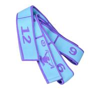 Pilates Bands - Enhances Stretching and Training Routines | with Number Elastic Home Gym Equipment Dance Stretch Bands | For Women, Glute, Leg, Arm, Yoga, Ballet, Latin, Fitness