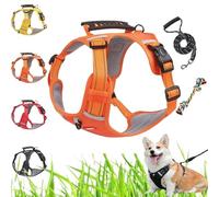Pilates Essentials Kit for Women, Yoga Pilates at Home Equipment Yoga Ring Magic Circle Bands for Stretching, out Glutes Ball 25cm Figure 8 Resistance (Orange)
