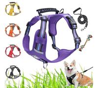 Pilates Essentials Kit for Women, Yoga Pilates at Home Equipment Yoga Ring Magic Circle Bands for Stretching, out Glutes Ball 25cm Figure 8 Resistance (Purple)