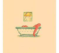 Pile - A Hairshirt Of Purpose [Vinilo]