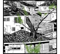 Pile - Odds And Ends [Vinilo]