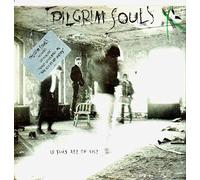 Pilgrim Souls - Is This All Of Us ? [Vinyl LP]
