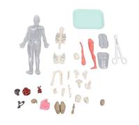 Pilipane Kit de anatomía del modelo del cuerpo humano con órganos extraíbles que brillan en la oscuridad Esqueleto Ciencia Juguete educativo para niños Estudiantes Herramienta de
