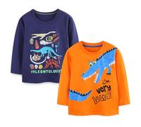 Pilipulu Camiseta de Manga Larga Niño, Pack de 2 Camisetas de Algodón, T-Shirt Bebé Niños de Dinosaurio para Infantiles 4 Años, Dinosaurios 2