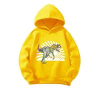 Pilipulu Sudaderas con Capucha para Niño de Algodón, Dinosaurio Sudadera para Niños Casual Hoodie for Boys, Sweatshirt con Capucha de Otoño y Primavera para Infantiles 7 Años, Amarillo/Dinosaurio 1