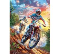 Pilote de Motocross Dans le désert Puzzle 300 Piezas Cartón Resistente para Coleccionistas Mitos Animal Planta Entretenimiento Toda La Familia Mejora Memoria Pack Completo para Navidad 300 PCS
