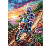 Piloto de motocross en un cañón ardiente Puzzle 300 Piezas Cartón Resistente Cuento de hadas mágico acompañante Rompecabezas Familiar Para Toda La Familia Juguete Educativo 3D Maquetas Construir 300 P