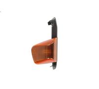 Piloto intermitente DT SPARE PARTS 7.25310 para STRALIS I 12.882 2006-2012