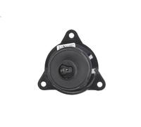 Piloto intermitente HELLA 2BA 008 221-007 para AXER 7.79 2005-2007