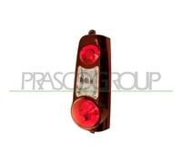 Piloto Posterior Prasco CI9204153 Tyc para Citroën Peugeot