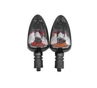 Pilotos Intermitentes Compatibile Con BMW K1300R K1200S HP2 Enduro Sport Megamoto F800 GS/R/S/ST F650GS Indicatori Di Direzione Moto(Smoked)