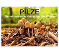 Pilze - Geheimnisvolle Herrscher der Wälder (Wandkalender 2026 DIN A3 quer), CALVENDO Monatskalender: Ein Streifzug durch die mystische Welt der Pilze.