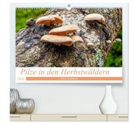 Pilze in den Herbstwäldern (hochwertiger Premium Wandkalender 2026 DIN A2 quer), Kunstdruck in Hochglanz: Ein Überblick über die Pilze, die unsere Wälder füllen