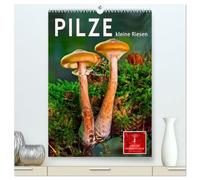 Pilze - kleine Riesen (hochwertiger Premium Wandkalender 2026 DIN A2 hoch), Kunstdruck in Hochglanz: Pilze - die Wunderwesen des Waldes.