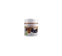 Pilze Wolhrab Biochaga 60Cap. 200 Ml