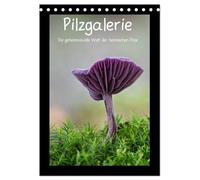Pilzgalerie - Die geheimnisvolle Welt der heimischen Pilze (Tischkalender 2026 DIN A5 hoch), CALVENDO Monatskalender: Herrliche Pilzaufnahmen im Hochformat