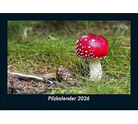 Pilzkalender 2026 Fotokalender DIN A5: Monatskalender mit Bild-Motiven aus Fauna und Flora, Natur, Blumen und Pflanzen