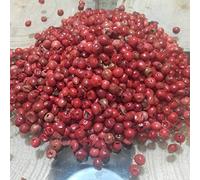 Pimienta Rosa Grano 1000 grs - Pimienta Natural 100 % 1 Kg