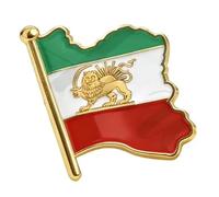 Pin de bandera de Irán a granel de acero inoxidable antiguo persa iraní mapa broche de solapa joyería herencia accesorios de ropa serie recuerdo insignia regalos para mujeres y hombres, Medio, Acero