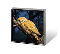 Pin de botón de búho nival amarillo, insignia cuadrada de metal para ropa y bolsos - Broche de solapa estilo esmalte, regalo de pájaro