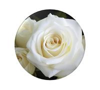 Pin de botón de rosa blanca, 1 unidad, insignias redondas de 2.4 pulgadas, kit de botones personalizados para fotos, suministros de manualidades, proyectos de fiesta de bricolaje, talla única, No es