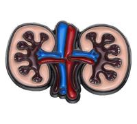 Pin de esmalte: corazón, pulmón, intestino, cerebro y broche del sistema nervioso, Klein, Metal no precioso
