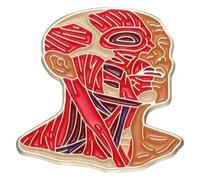 Pin de esmalte: corazón, pulmón, intestino, cerebro y broche del sistema nervioso, Klein, Metal no precioso