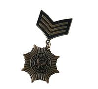 Pin de metal con emblema antiguo, diseño retro, perfecto para entusiastas de la historia, insignia de coleccionista