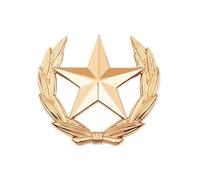 Pin de solapa de aleación con diseños minimalistas de estrellas de trigo, accesorio de moda, broche de estrella de trigo para mujeres y hombres, trajes minimalistas, broche con símbolo de cosecha, S