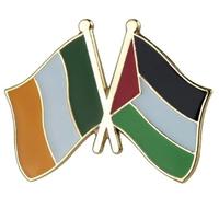 Pin esmaltado con la bandera nacional palestina irlandesa de Irlanda, bandera nacional palestina, amistad, amor, aliados, aliados, 2,5 cm, 1 Inch, Esmalte, Esmalte