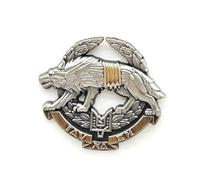 Pin esmaltado de las fuerzas de operaciones especiales de Ucrania, serie Cooperación, pin de solapa esmaltado, insignia chapada para ropa, bolsas y cordones